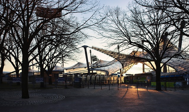 被迫出走 被迫出走